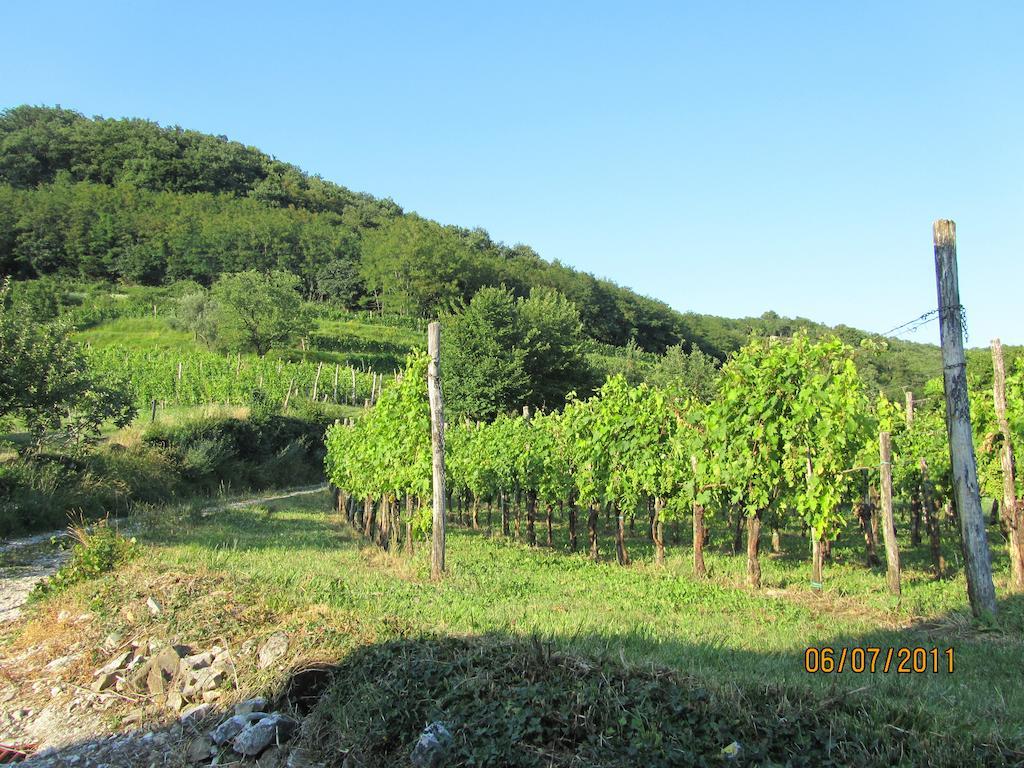 Villa Arkade Turizem Crnice Esterno foto